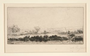 Countryside of Tourbieres: In the Marshes