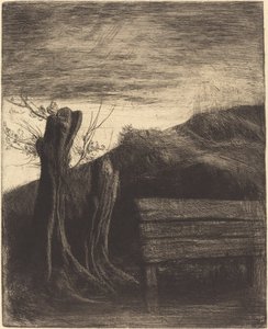 Pollard Willows
