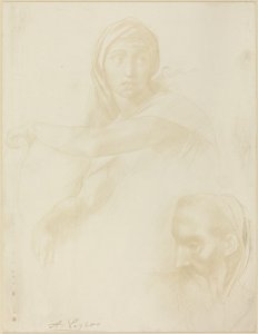 Study of Delphic Sibyl, Head of a Man by Alphonse Legros