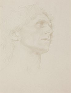 Study of Woman