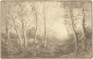 Sunrise, Woods of Clamard