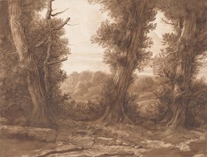 The Big Trees