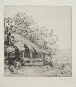 The Little Shed
