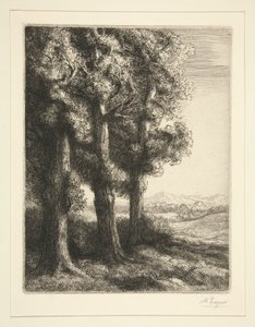 Three Trees by Alphonse Legros