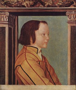 Boy with Brown Hair