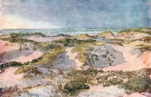 A Stormy Evening: The Dunes