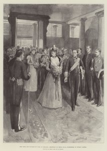 The Duke and Duchess of York in Ireland, Reception of Their Royal Highnesses at Dublin Castle