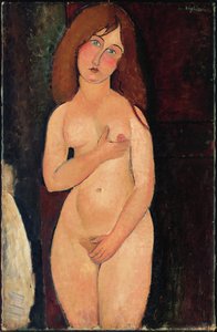 Venus or Standing Nude or Nude Medici by Amedeo Modigliani