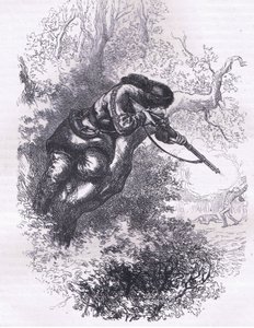 American marksman up a tree, illustration from Cassells History of the United States