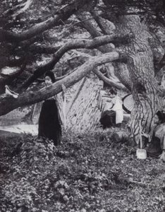 Japanese girls among the old pine-trees beside the ancient imperial moat at Tokio by American Photographer (after)