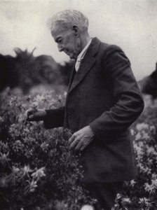 Luther Burbank Among His Flowers