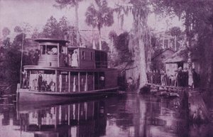 On the Ocklawaha River, Florida by American Photographer (after)
