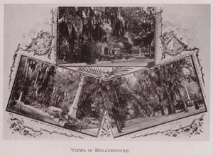 Views in Bonaventure by American Photographer (after)