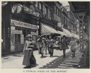 A Typical Scene on the Bowery by American Photographer