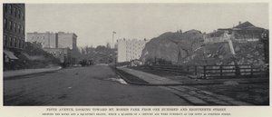 Fifth Avenue, looking toward Mt Morris Park from One Hundred and Eighteenth Street by American Photographer