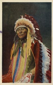 Hollow Horn Bear, Sioux Indian Chief by American Photographer
