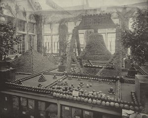 Liberty Bell in Oranges by American Photographer