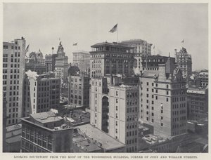 Looking Southwest from the Roof of the Woodbridge Building, Corner of John and William Streets by American Photographer
