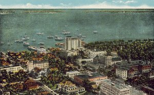 Miami, Florida, c 1925: Bird