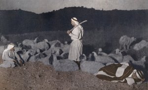 Palestinian shepherds watching their flock by night by American Photographer