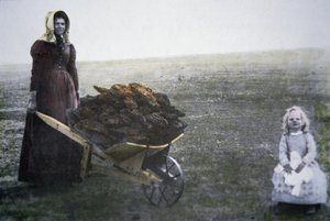 Pioneer woman collecting cattle dung, Kansas, c.1880 by American Photographer