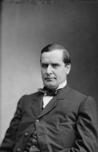 President William McKinley, 1870-80