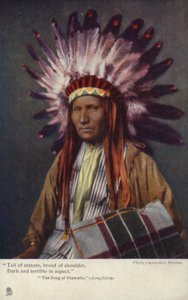 Tall of Stature, broad of shoulder, Dark and terrible in aspect - The Song of Hiawatha - Longfellow