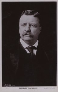 Theodore Roosevelt, American Politician and 26th President of the United States by American Photographer