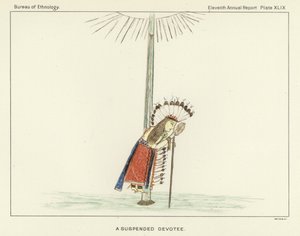 A Suspended Devotee