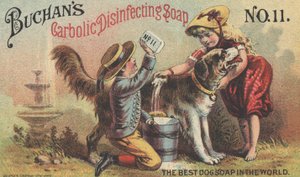 Advertisement for Buchan