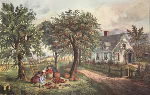 American Homestead - Autumn