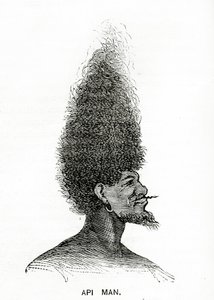 Api Man, Illustration from Appletons Journal, May 4, 1872