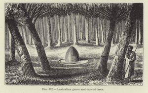 Australian Grave and Carved Trees by American School