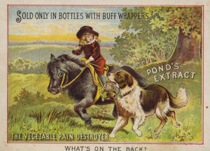Boy Riding a Pony with His Dog by American School