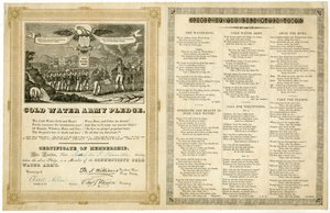 Cold Water Army Pledge by American School