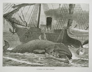 Cutting up the Whale, from The American Whale Fishery