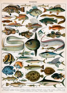 Decorative Print of 
