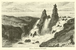 Felon Falls in Senegal by American School
