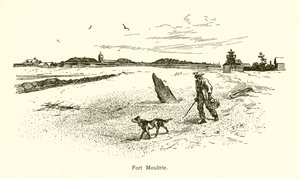 Fort Moultrie by American School