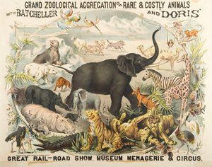 Grand Zoological Aggregation of Rare and Costly Animals with Batcheller and Doris by American School