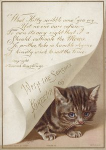 Kitten Hiding Under Letter by American School