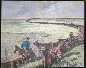 Longhorn cattle drive from Texas to Abilene, Kansas by American School