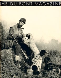 Man with Hunting Dogs by American School