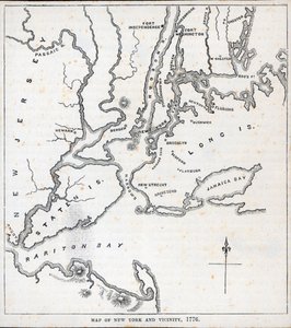 Map of New York and the Vicinity by American School