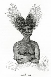 Mare Girl, Illustration from Appletons Journal, May 4, 1872 by American School