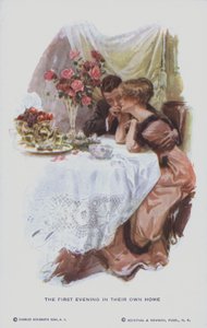 Married Couple Enjoying the First Evening in Their New Home by American School