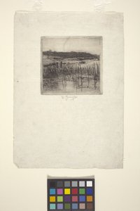 Marsh