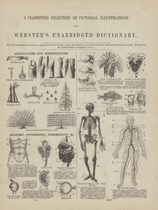 Page from Webster