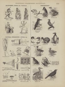 Page from Webster