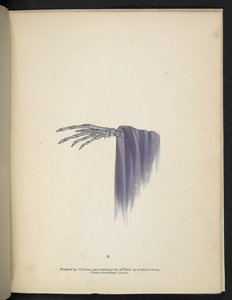 Plate 8. A skeletal hand. Spectropia; or, Surprising spectral illusions showing ghosts everywhere, and of any colour, etc. ser. 1. J.H. Brown 1864 by American School